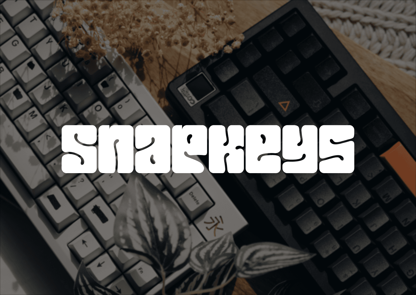 SnapKeys